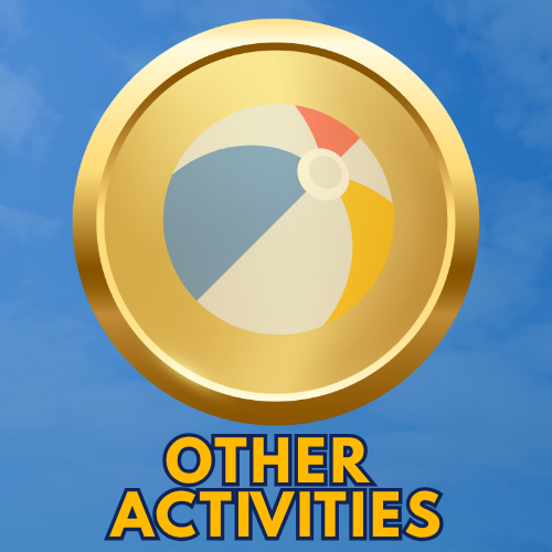 Other Activities